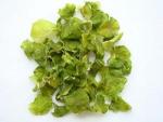 dehydrated lettuce